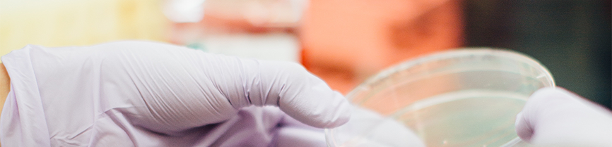 probiotic laboratory