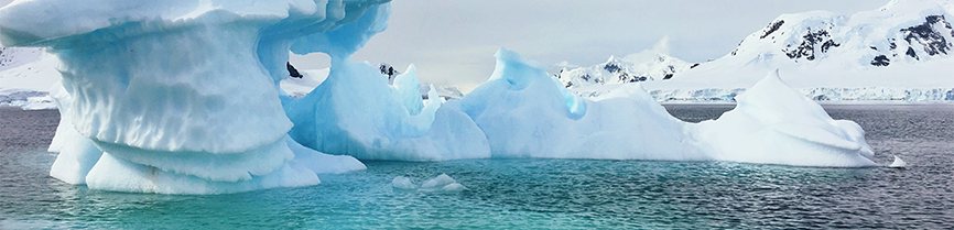 arctic fish oil