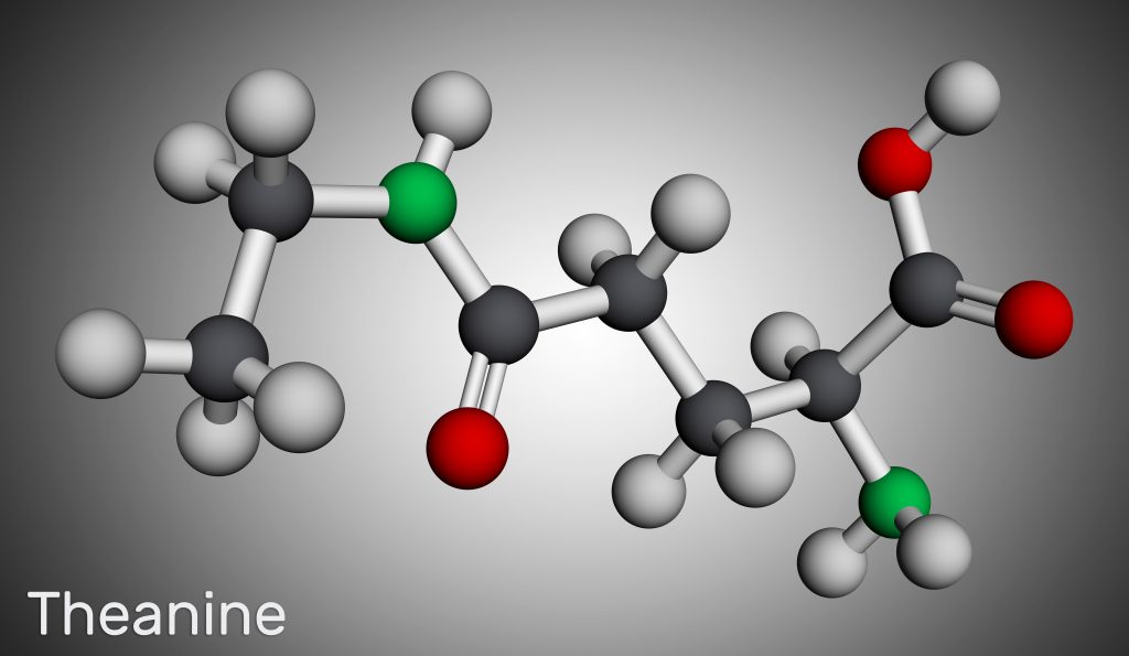 L-Theanine Helps to Improve the Quality of Sleep